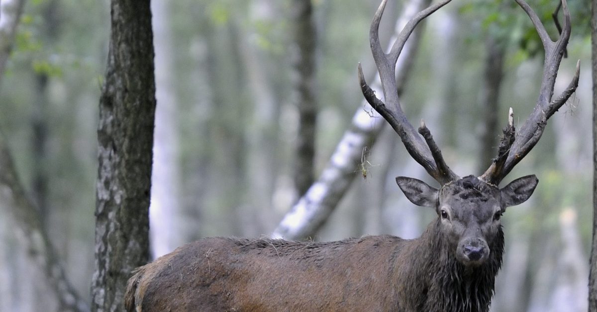 Espace Rambouillet PhotoMusiqueVidéo