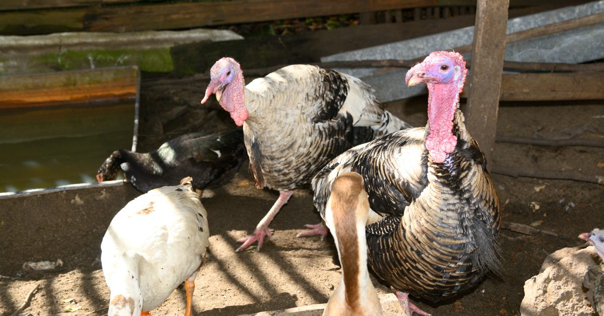 Espace Rambouillet PhotoMusiqueVidéo